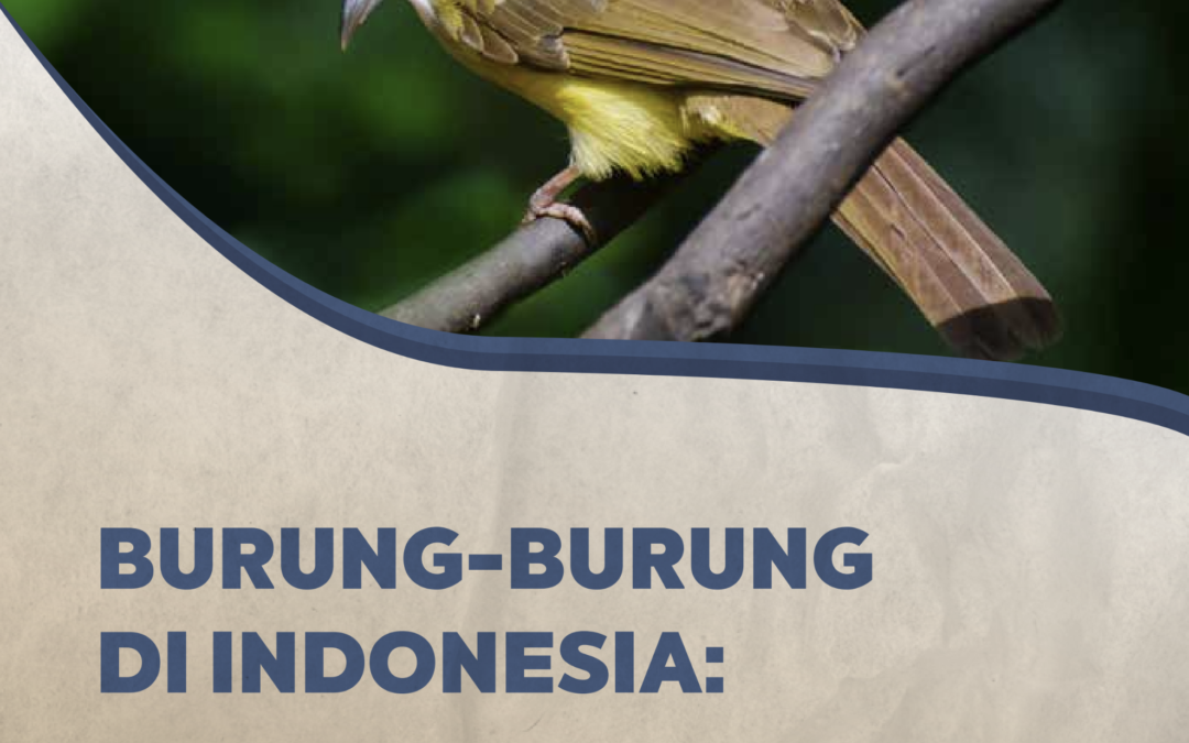 Burung-burung di Indonesia: Daftar dan Status 2022