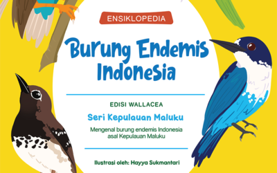 Ensiklopedia Burung Endemis Indonesia (Edisi Wallacea): Seri Kepulauan Maluku