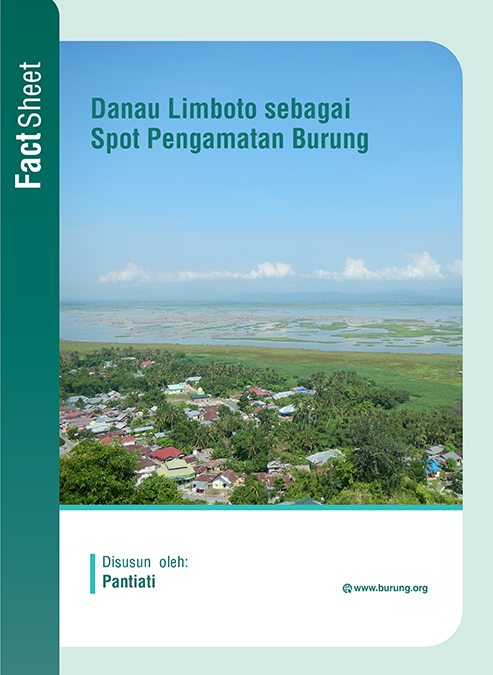 Danau Limboto sebagai Spot Pengamatan Burung