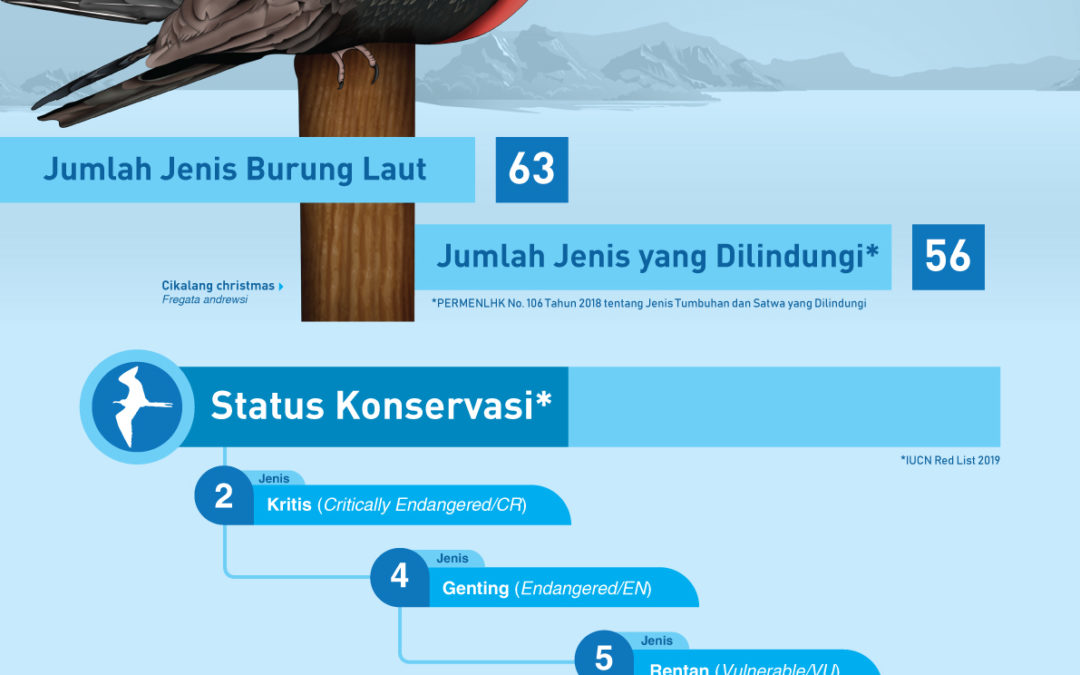 Status Burung Laut di Indonesia