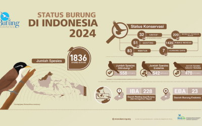 Status Burung di Indonesia 2024