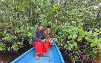 Mangrove Forest in Torosiaje Village: From Spiritual Connection to Conservation Efforts